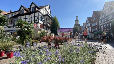 Vom 13. bis 14. September lockt wieder der Öko- und Bauernmarkt in die Stadt.  (Foto: ste)