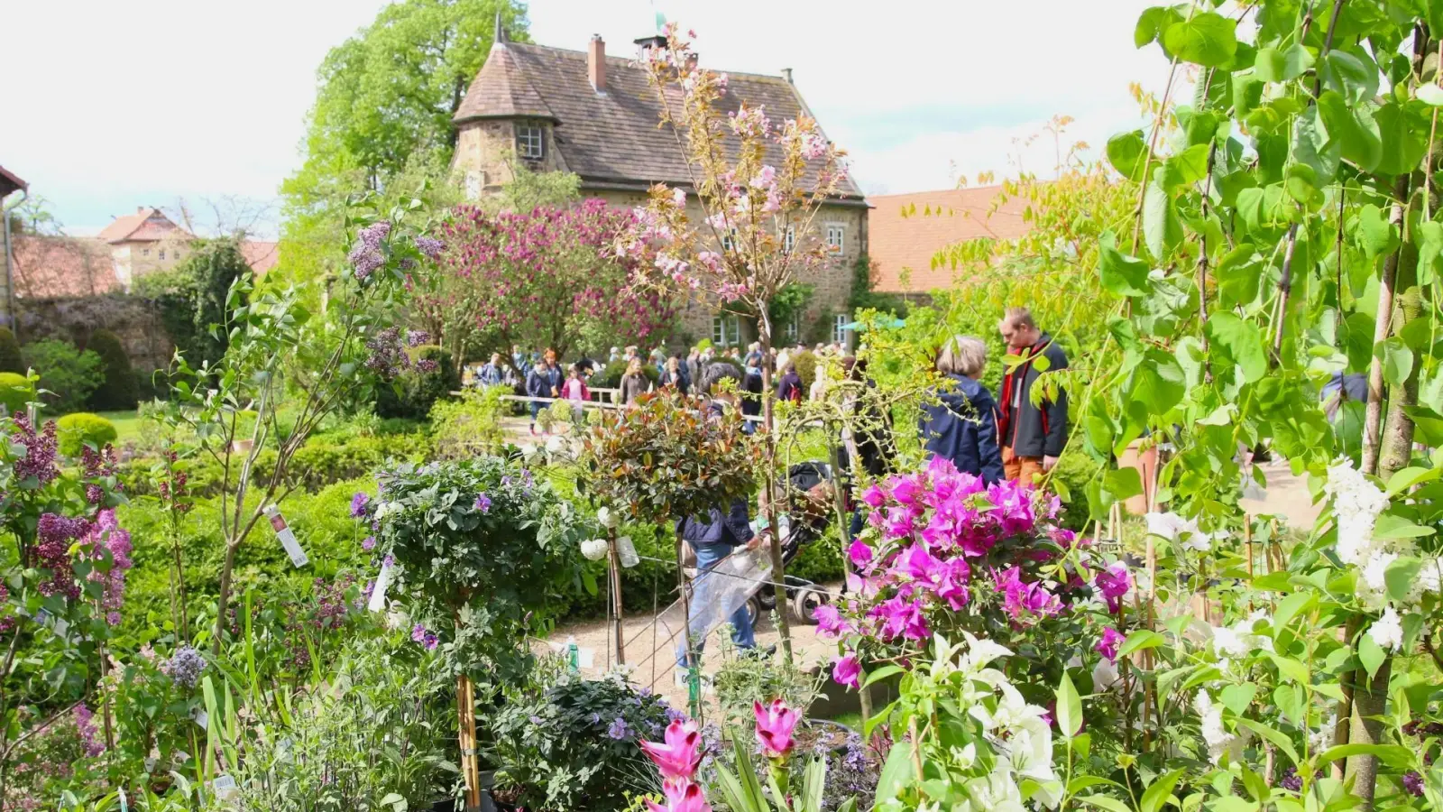 Die Pflanzentrag auf dem Rittergut Remeringhausen laden ein zum Bummel entlang prachtvoller Gewächse.  (Foto: bb)