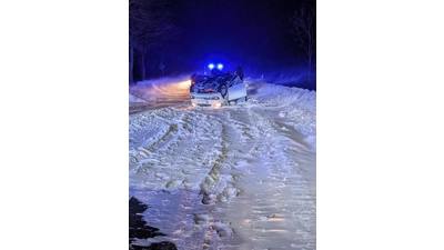 Der verunglückte PKW. (Foto: privat)