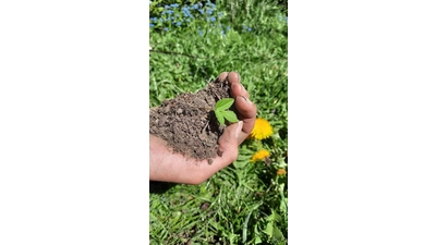 Die Pflanzentauschbörse soll die biologische Vielfalt im Garten fördern. (Foto: Grüne Auetal)