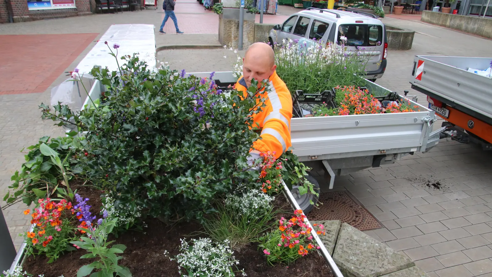 Gärtner Joachim Adler pflanzt Sommerblüher in einen Blumenkasten an der Stadtkirche.  (Foto: gi)