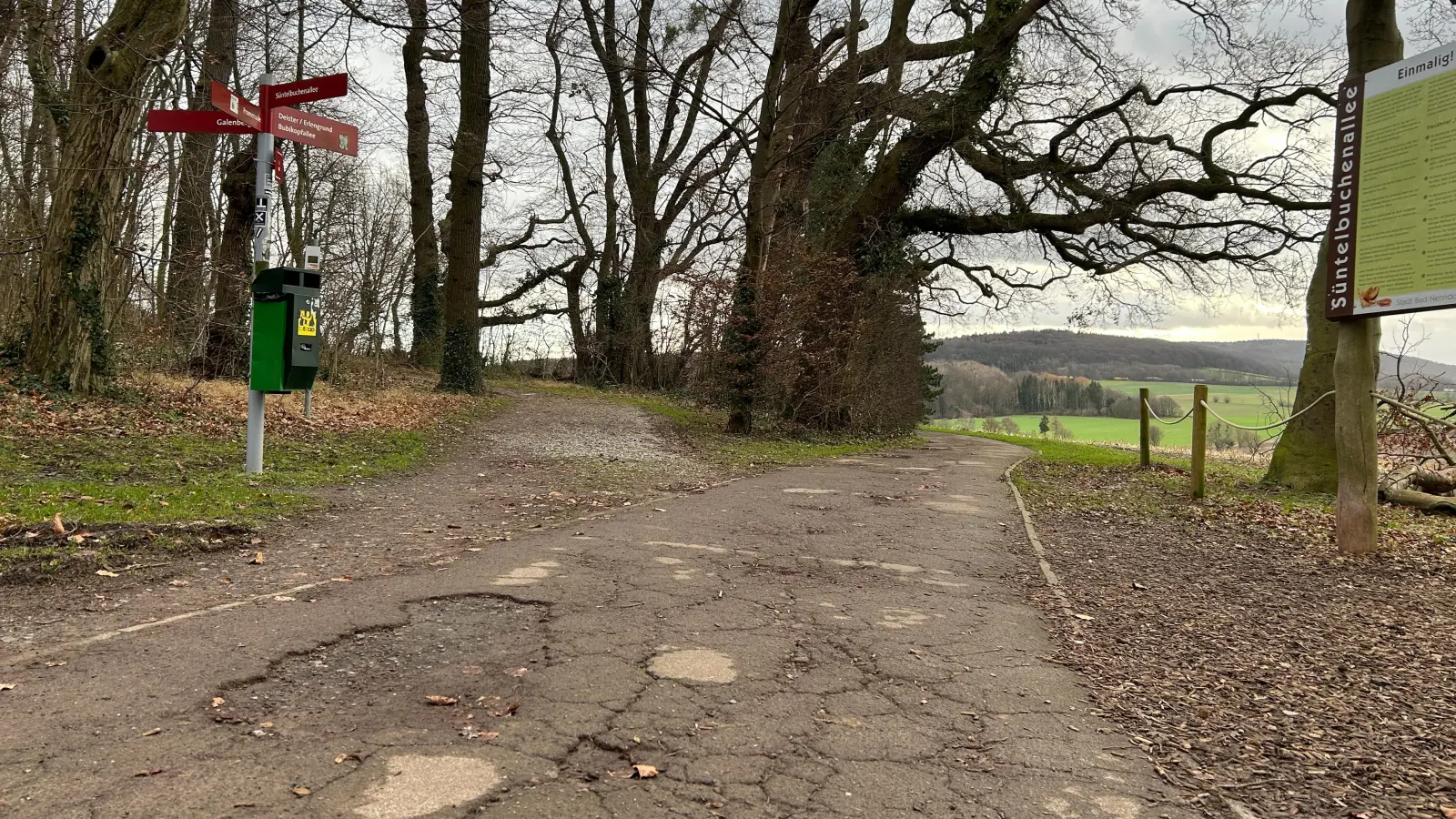 Viele Wege im Kurpark sind stark beschädigt. Zur Landesgartenschau sind sie saniert und barrierefrei. (Foto: privat)