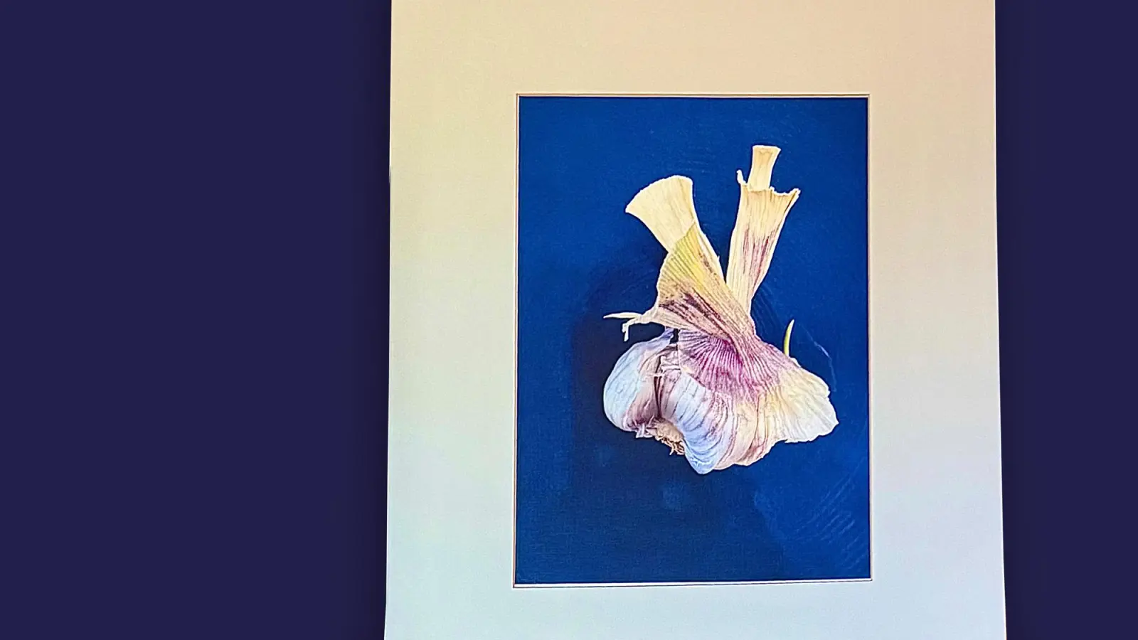 Inspiriert von der Natur: Werke von Renate Heidbüchel. (Foto: privat)