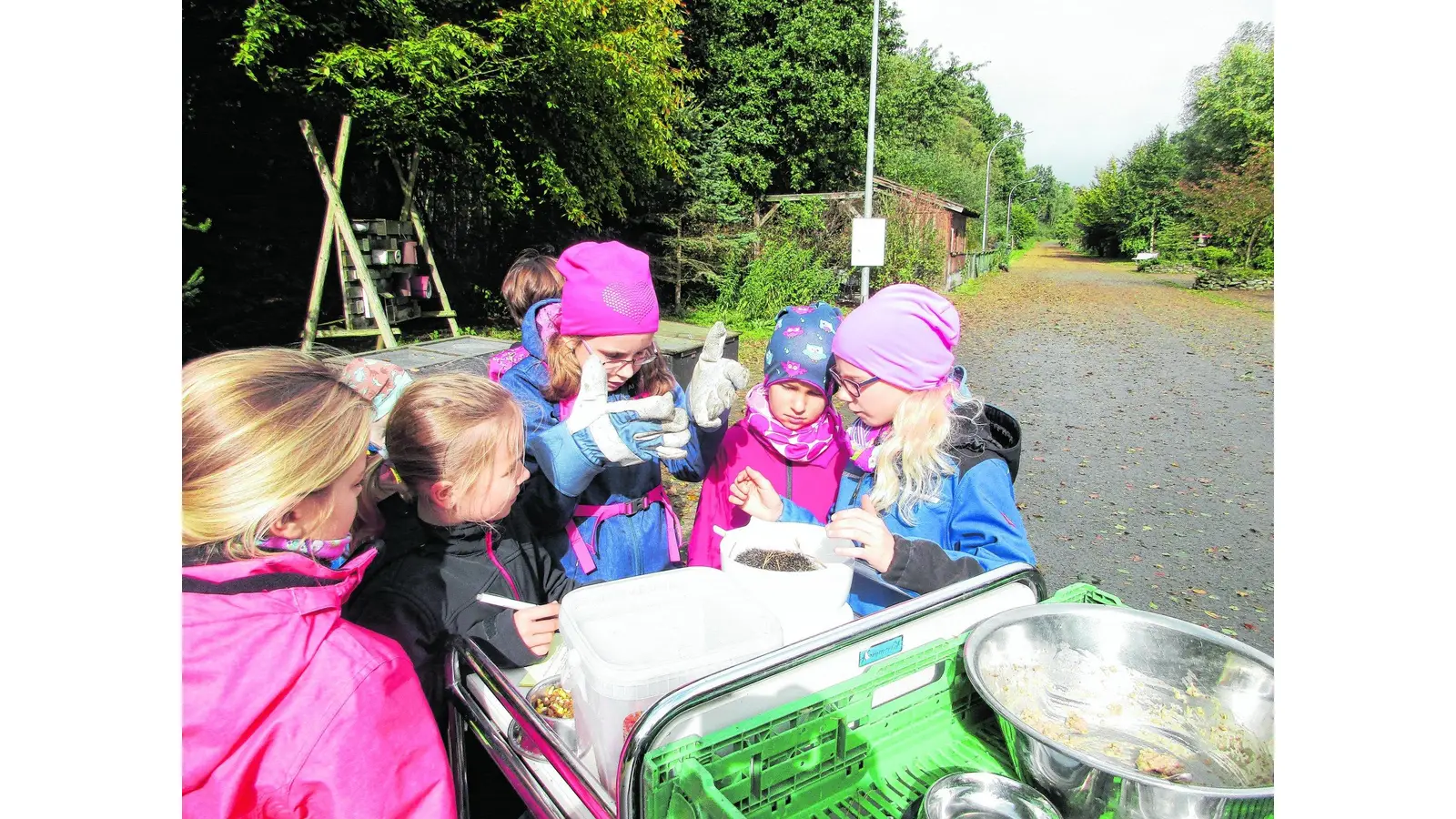 Feine Nasen und viele Stacheln (Foto: mk)