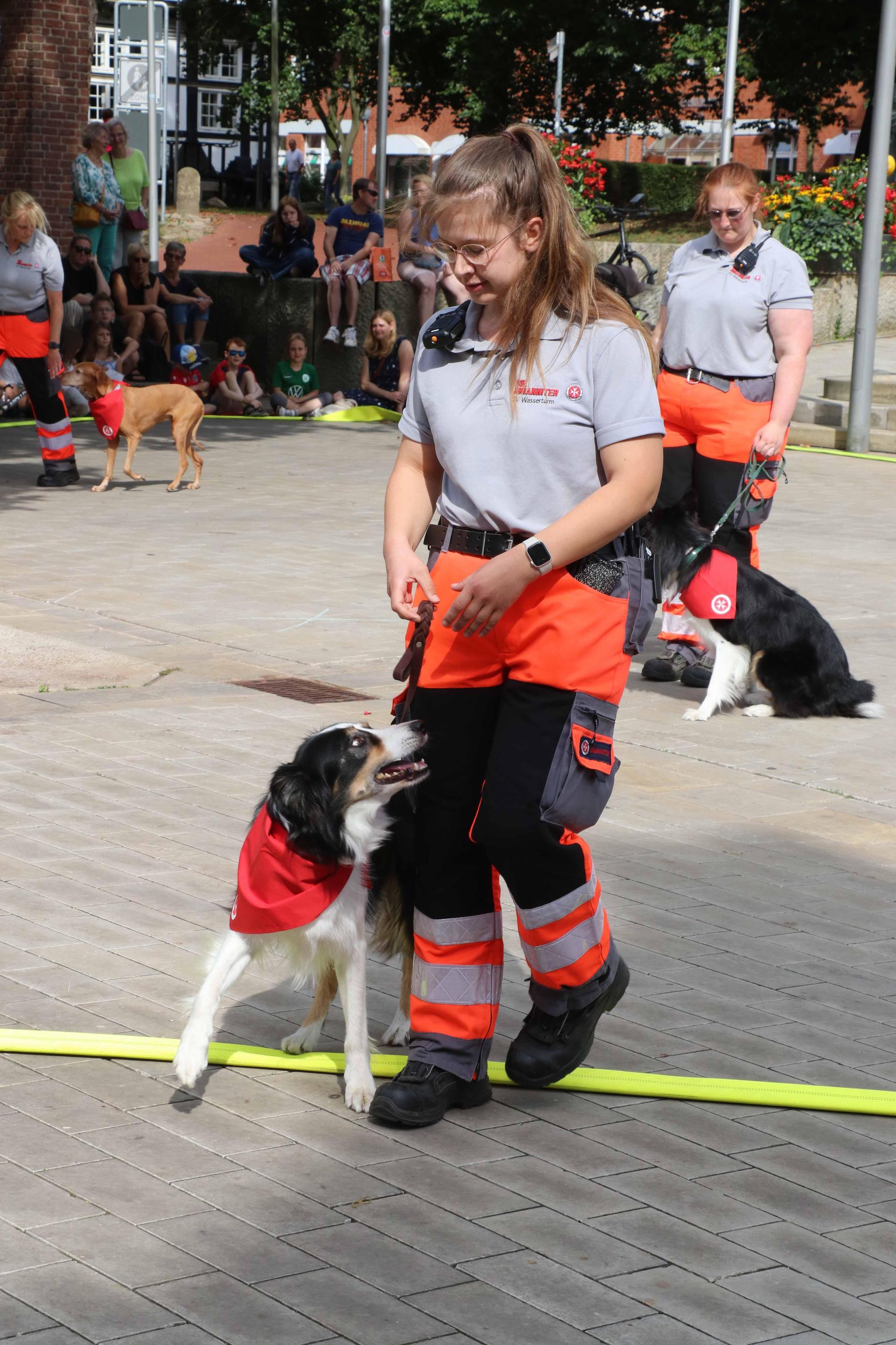 Eindrücke vom Rettertag in der Innenstadt und bei den Stadtwerken. (Foto: gi)