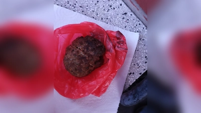 So sah das gefundene Fleischstück in Hespe aus. (Foto: privat)