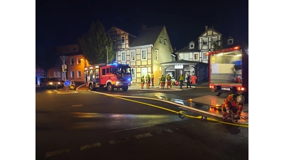 Die Feuerwehr musste eine Schlauchleitung über die Allee legen. (Foto: privat)