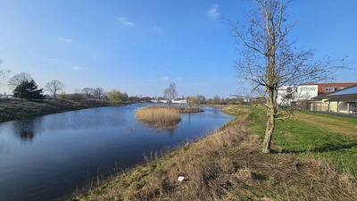 Im Gewerbegebiet Niedere Wanne: Eine Versickerungsanlage, die nach den ergiebigen Regenfällen im Winter gut gefüllt ist. (Foto: tau)