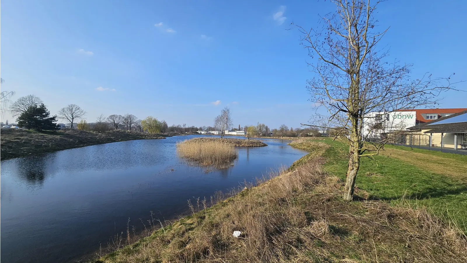 Im Gewerbegebiet Niedere Wanne: Eine Versickerungsanlage, die nach den ergiebigen Regenfällen im Winter gut gefüllt ist. (Foto: tau)