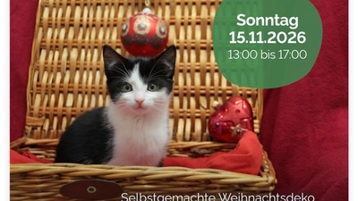 Am 15. November lädt die Tierschutzliga in das Tierheim Bückeburg ein. (Foto: privat)