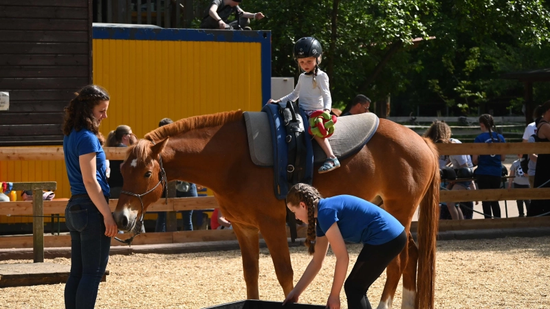 Auf dem Rücken der Pferde geht es im Tierbereich über einen Geschicklichkeitsparcours. (Foto: privat)