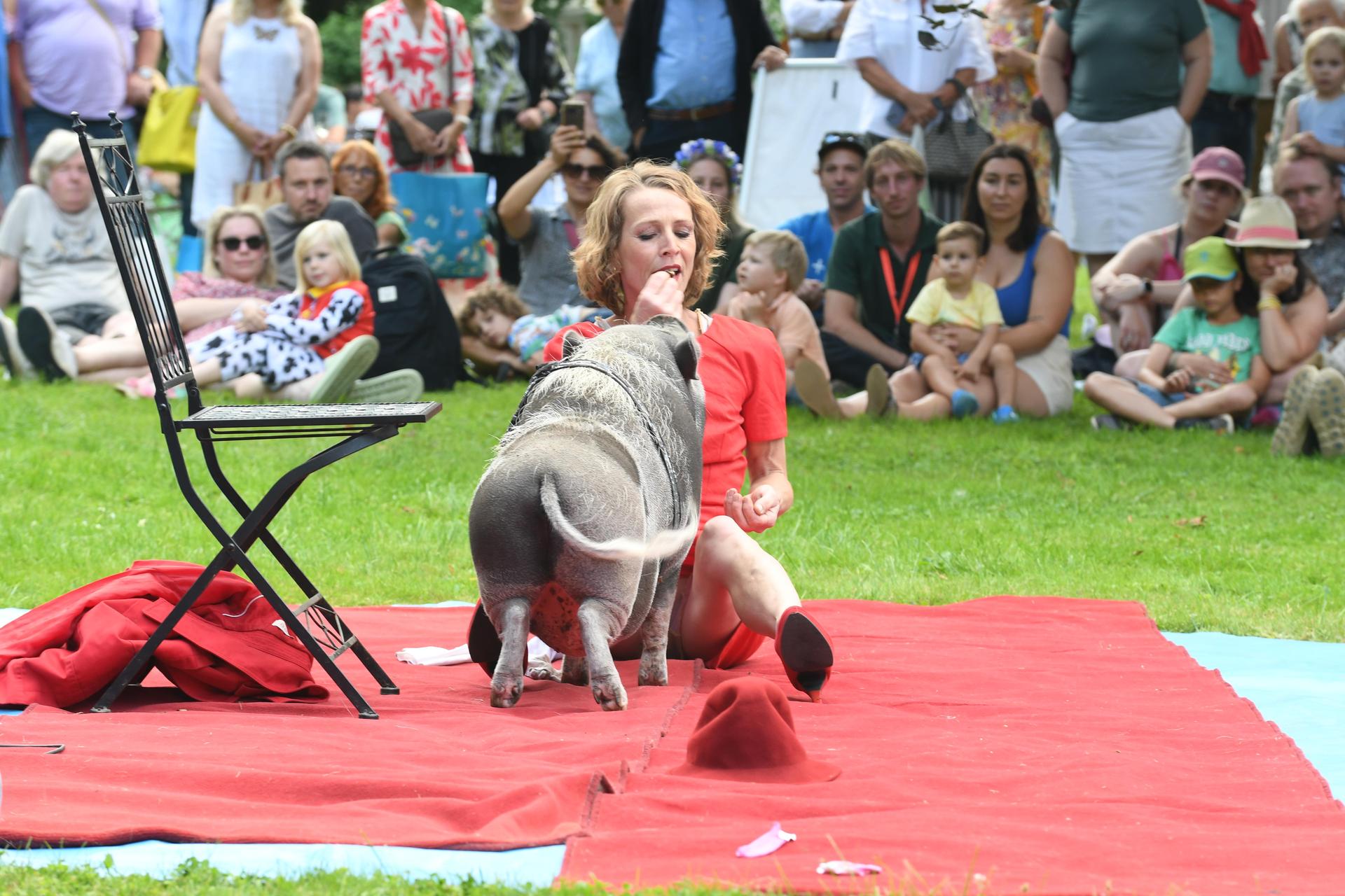 Drei Tage lang verwandelte sich das Rittergut Remeringhausen in ein Paradies für Garten- und Kunstliebhaber: Das beliebte Fest „Romantic Garden“ feierte seinen 25. Geburtstag. Bei strahlendem Sommerwetter strömten zahlreiche Besucherinnen und Besucher auf das idyllische Gutsgelände, um ein abwechslungsreiches Programm aus Ausstellungen, Musik und kulinarischen Angeboten zu genießen. Die gut gelaunten Gäste und das hervorragende Wetter sorgten für beste Stimmung, und auch die Aussteller zeigten sich rundum zufrieden. (Foto: nd)