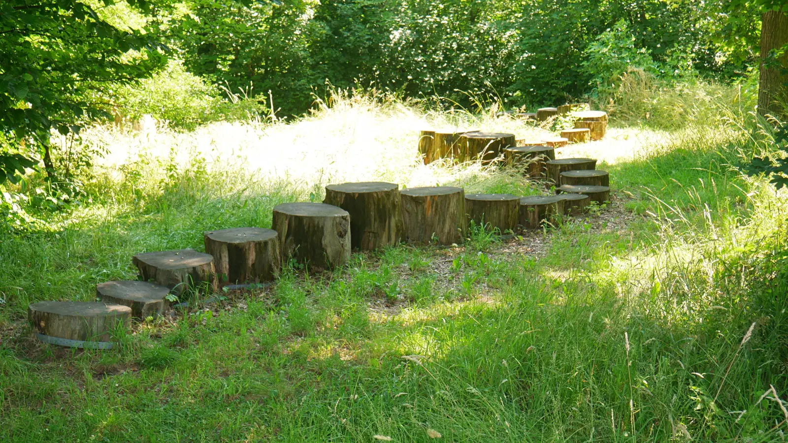 Im Bürgerpark Rodenberg gibt es einiges zu entdecken. (Foto: gk)