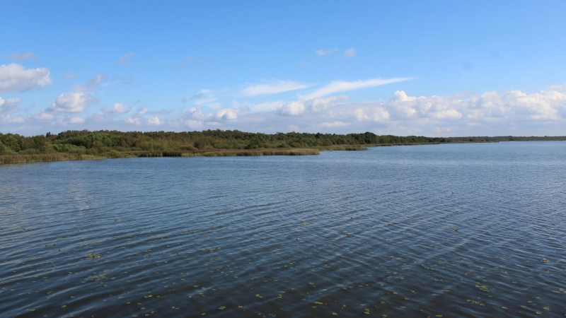 Hat mit Schlamm zu kämpfen: Steinhuder Meer mit Blick ins Naturschutzgebiet bei Mardorf. (Foto: wb)