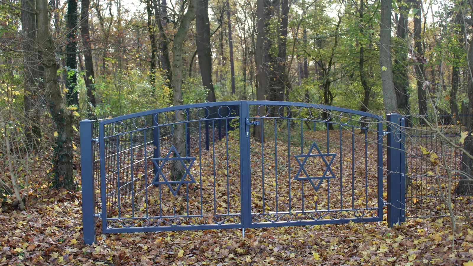 Jetzt mit einem Zaun gesichert: Jüdischer Friedhof im Hohen Holz. (Foto: wb)
