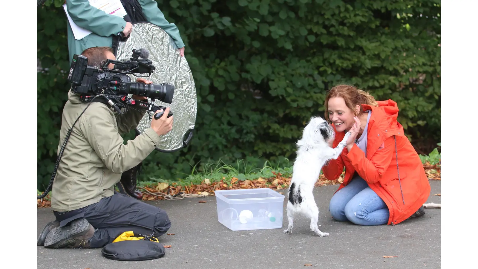 Kate Kitchenham dreht während der Aktion „Dogs for Schaumburg“ mit ihrem Team. (Foto: Borchers, Bastian)