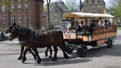 Kostenlose Kutschfahrten starten um 14, 15 und 16 Uhr am Kollegienplatz. (Foto: ste)