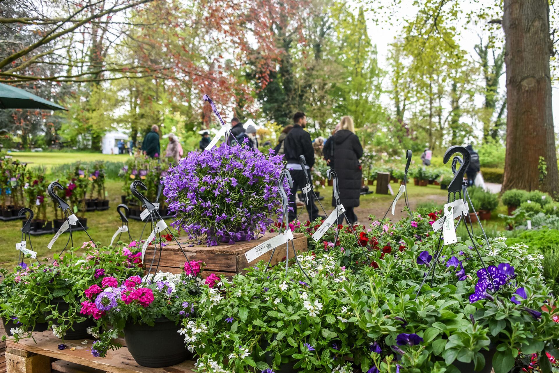 Pflanzentage am Gut Remeringhausen. (Foto: Johannes Pietsch)