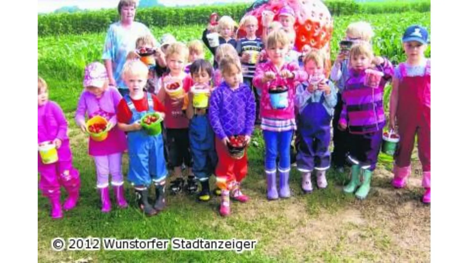 Die Erdbeeren wachsen nicht auf den Bäumen (Foto: nb)