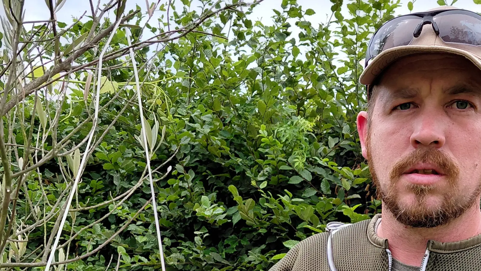 Kennt sich mit Wespen und Hornissen aus: Marcel Müller-Meißner. (Foto: privat)