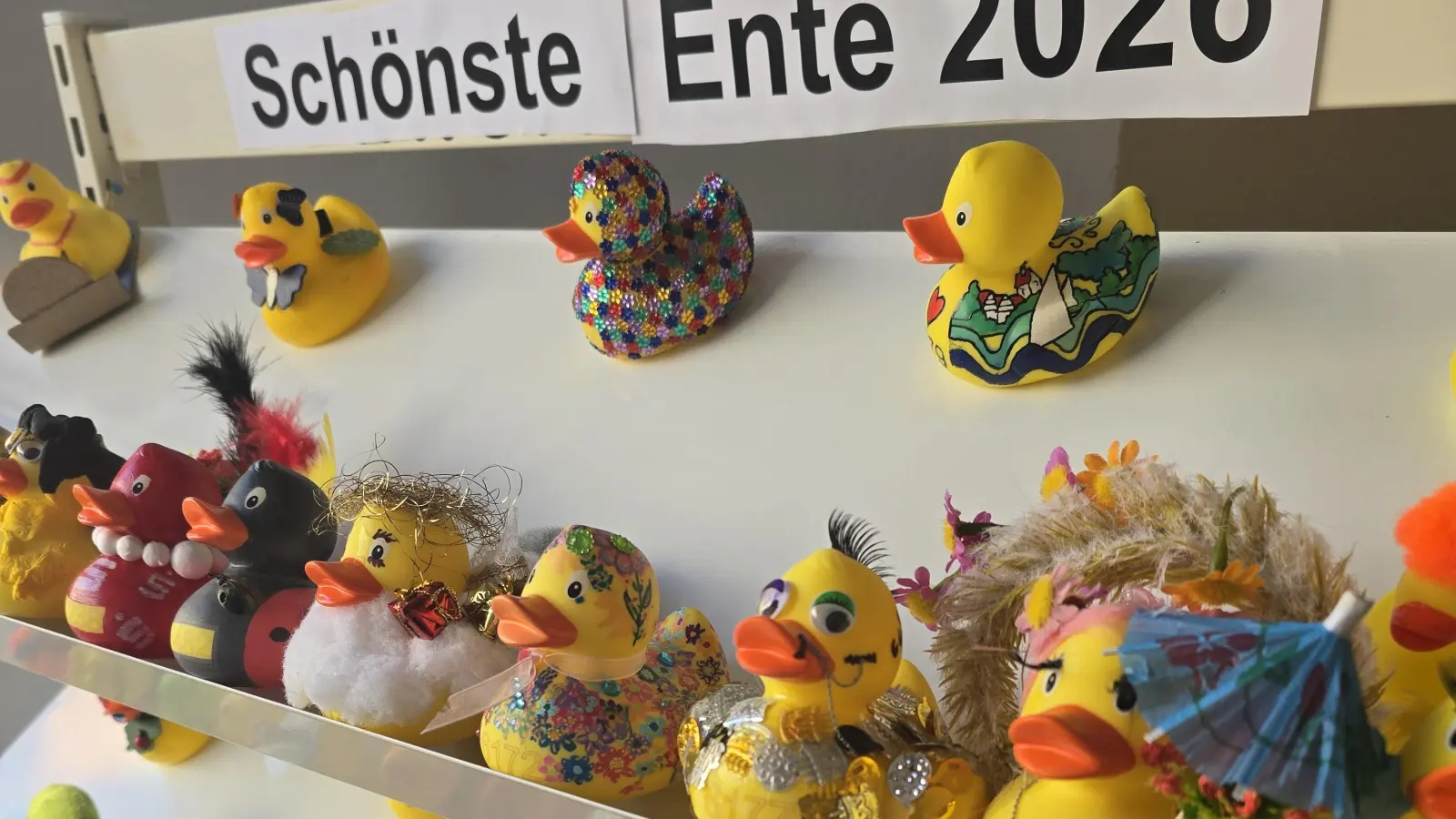 Ausgestellt: Liebevoll gestaltete Rennenten.  (Foto: privat)