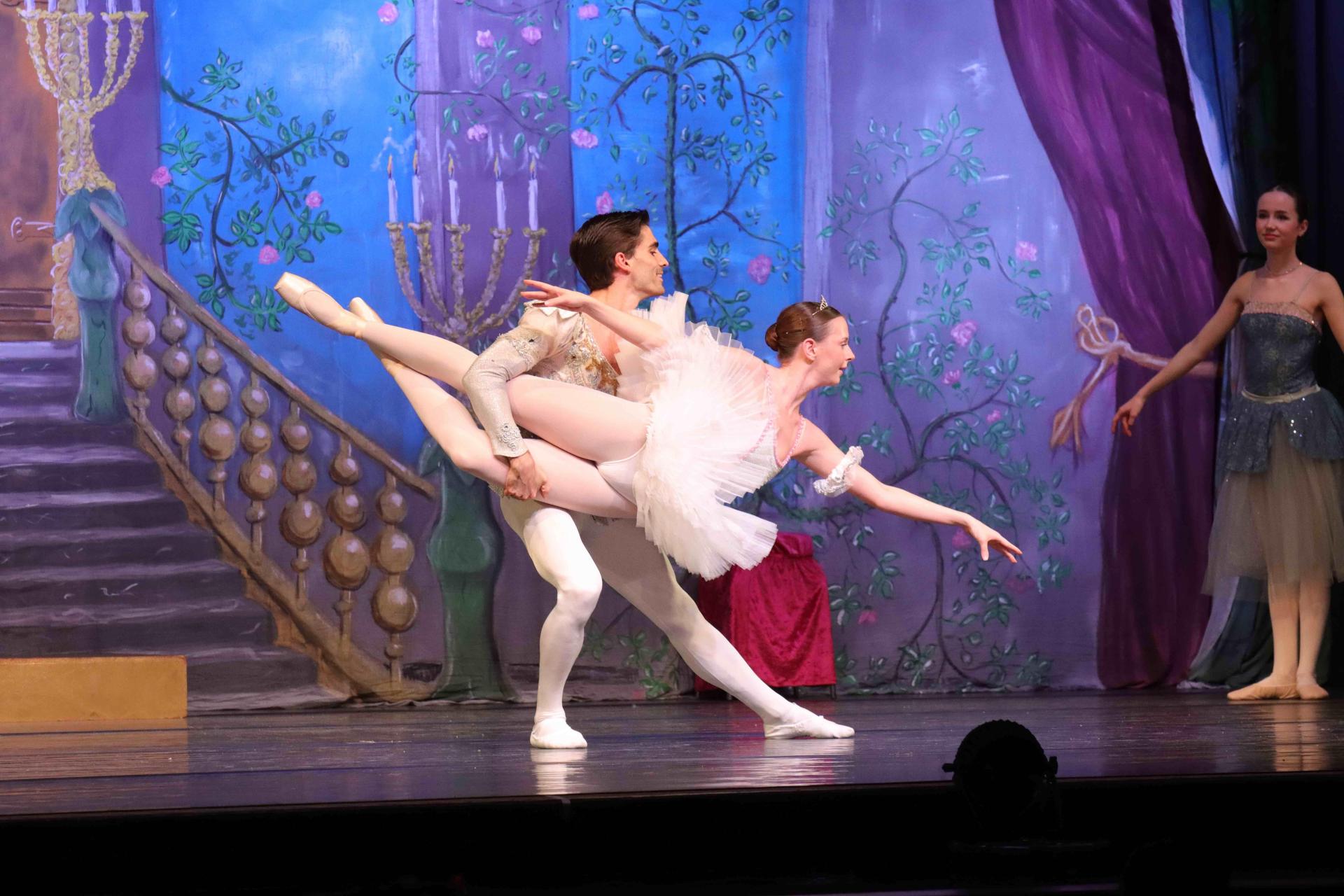 Premiere: Dornröschen im Stadttheater. (Foto: tau)