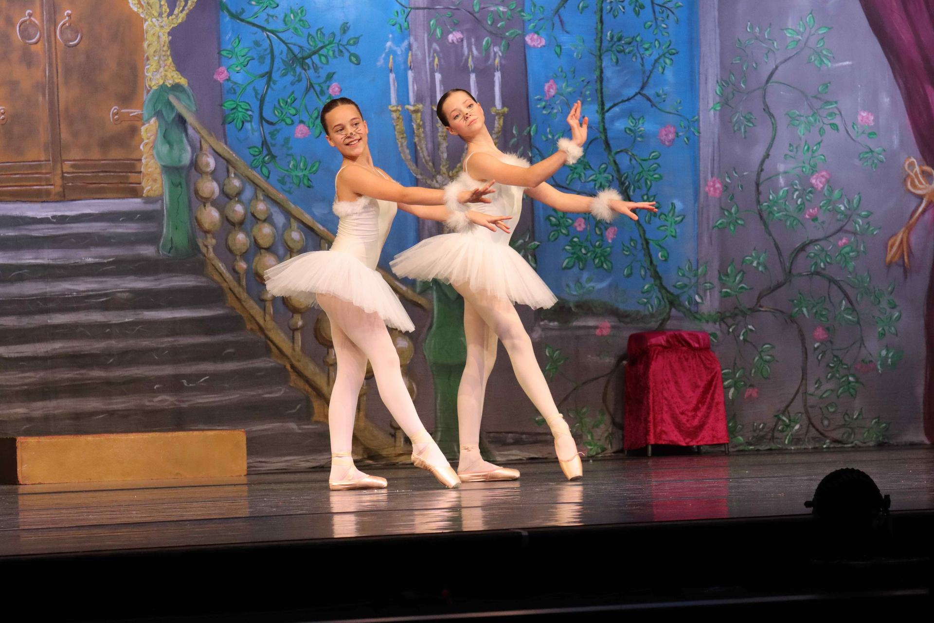 Premiere: Dornröschen im Stadttheater. (Foto: tau)