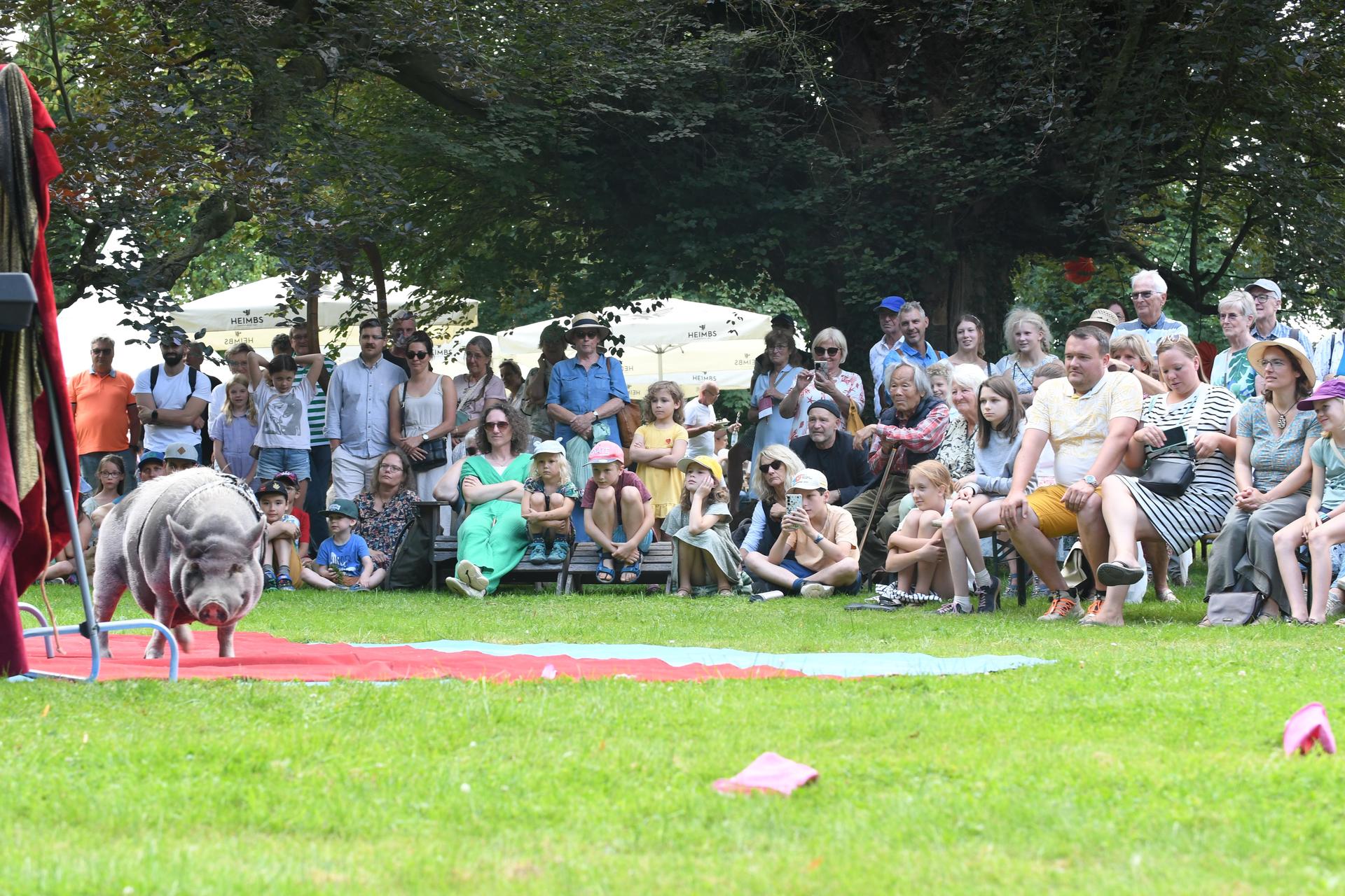 Drei Tage lang verwandelte sich das Rittergut Remeringhausen in ein Paradies für Garten- und Kunstliebhaber: Das beliebte Fest „Romantic Garden“ feierte seinen 25. Geburtstag. Bei strahlendem Sommerwetter strömten zahlreiche Besucherinnen und Besucher auf das idyllische Gutsgelände, um ein abwechslungsreiches Programm aus Ausstellungen, Musik und kulinarischen Angeboten zu genießen. Die gut gelaunten Gäste und das hervorragende Wetter sorgten für beste Stimmung, und auch die Aussteller zeigten sich rundum zufrieden. (Foto: nd)