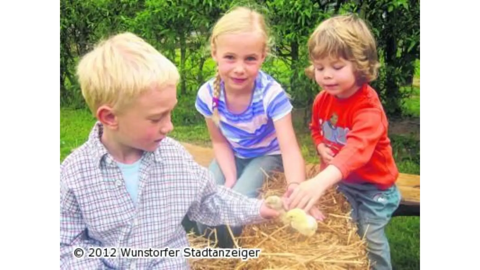 Kindergarten wird zum lebendigen Hühnerstall (Foto: pd)