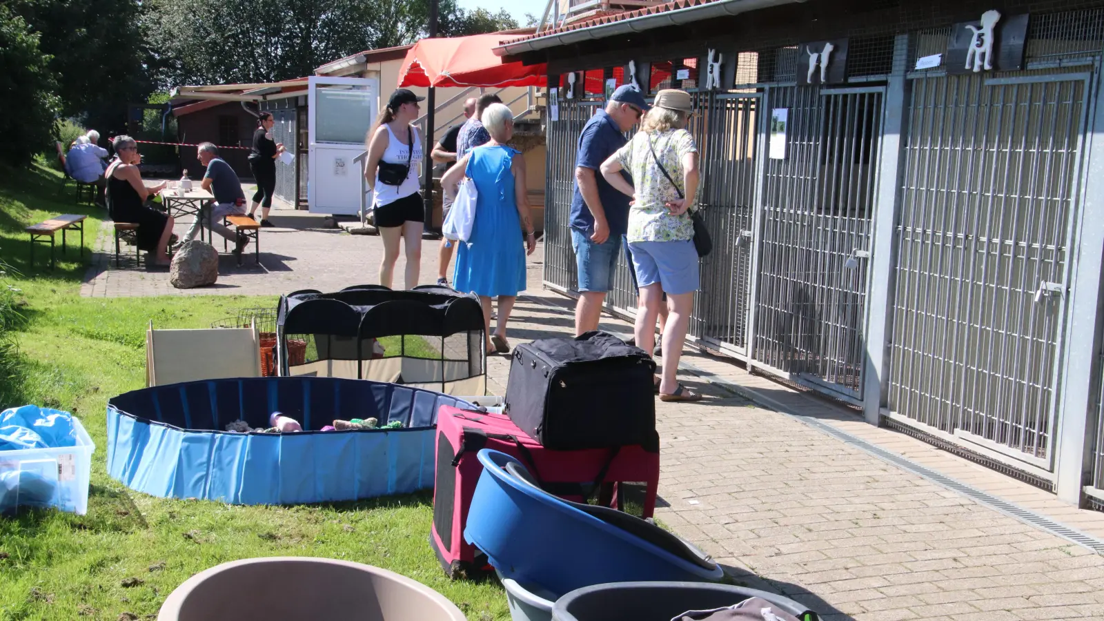 Archivbild vom Sommerfest 2023: Gerne stellt sich das Tierheim den Besuchern vor.  (Foto: gi)