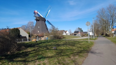 Nach Fällaktion: Freier Blick auf Windmühle Paula. (Foto: wb)