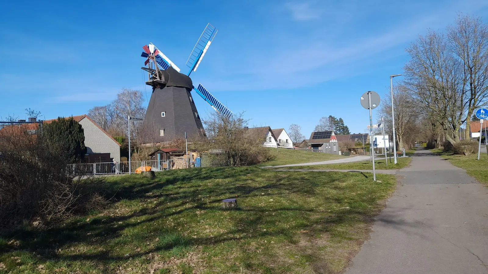 Nach Fällaktion: Freier Blick auf Windmühle Paula. (Foto: wb)