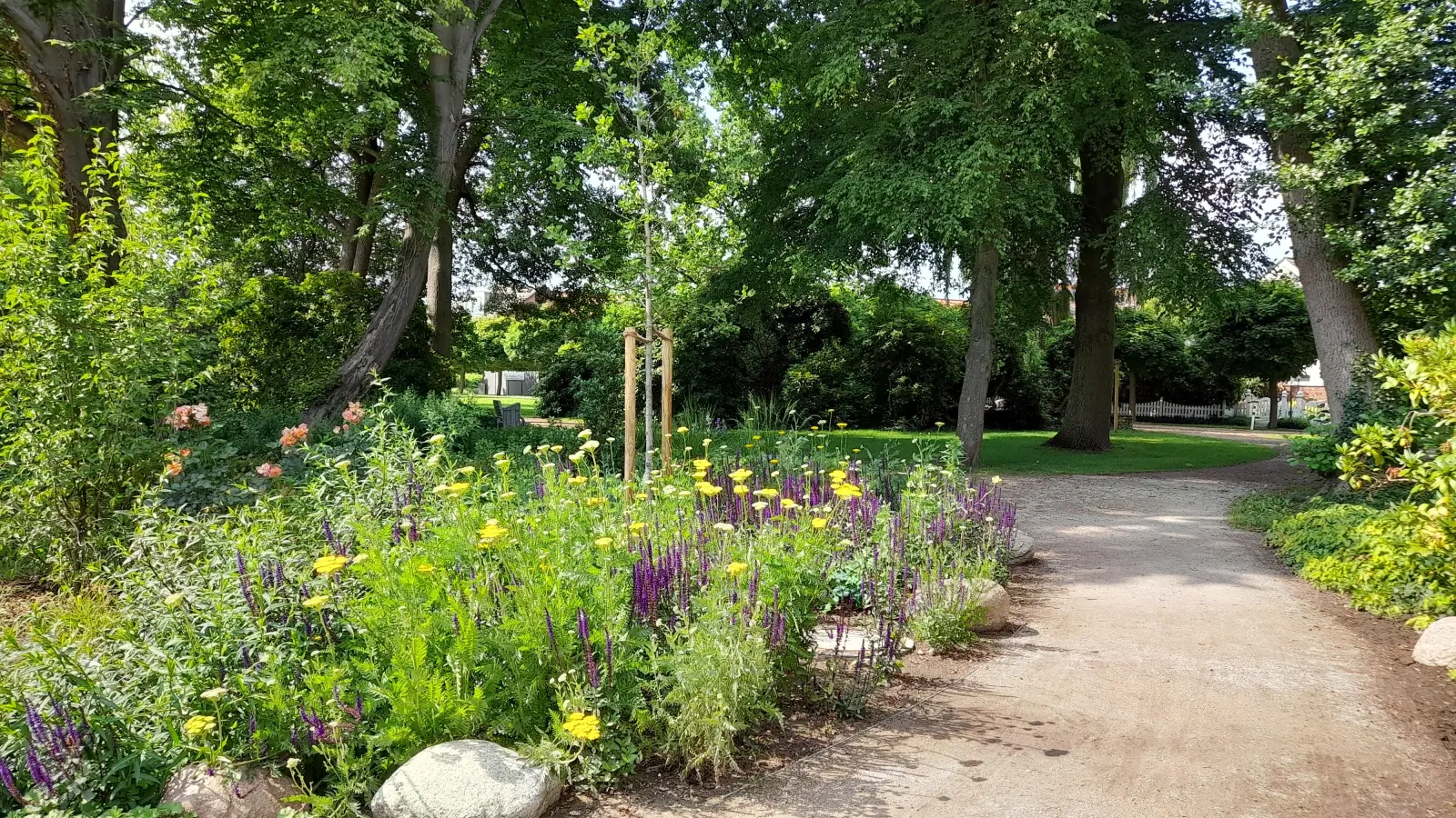 Auch entsprechend bepflanzte Beete helfen Insekten auf der Nahrungsuche und tragen so zur Biodiversität bei. (Foto: wb)