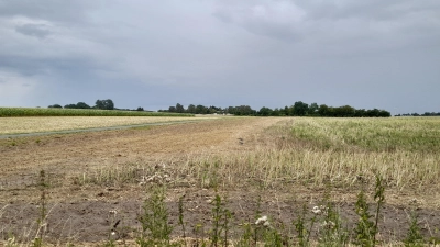 Ackerbau in der Krise: Trockenheit und hohe Preise für Dünger und Diesel. (Foto: wb)