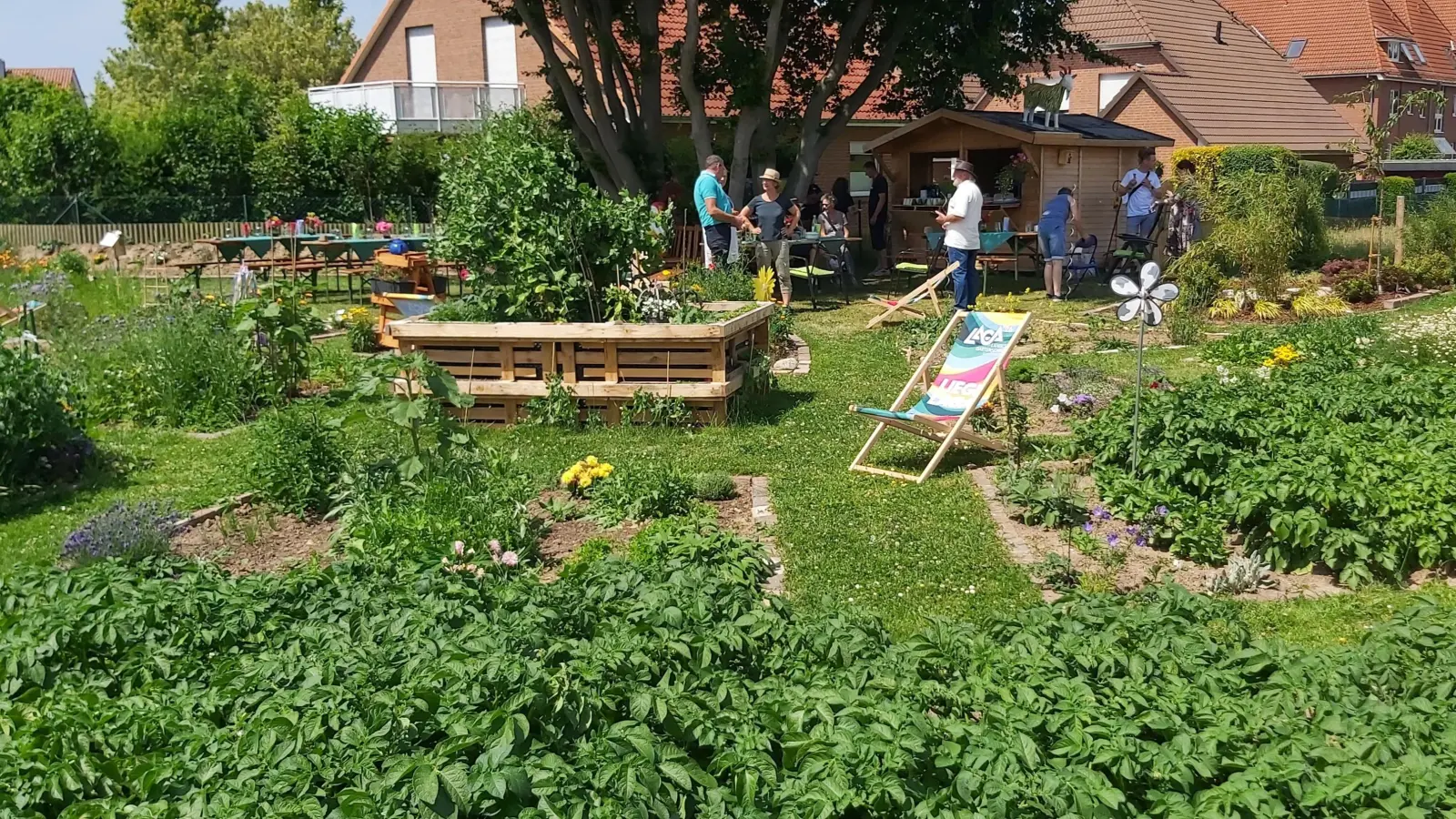 Blühende Parzellen mit jeweils eigenem Charakter. (Foto: gk)