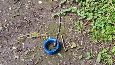 Stock im Erdreich: Daran befestigt sind Angelschnüre. (Foto: privat)