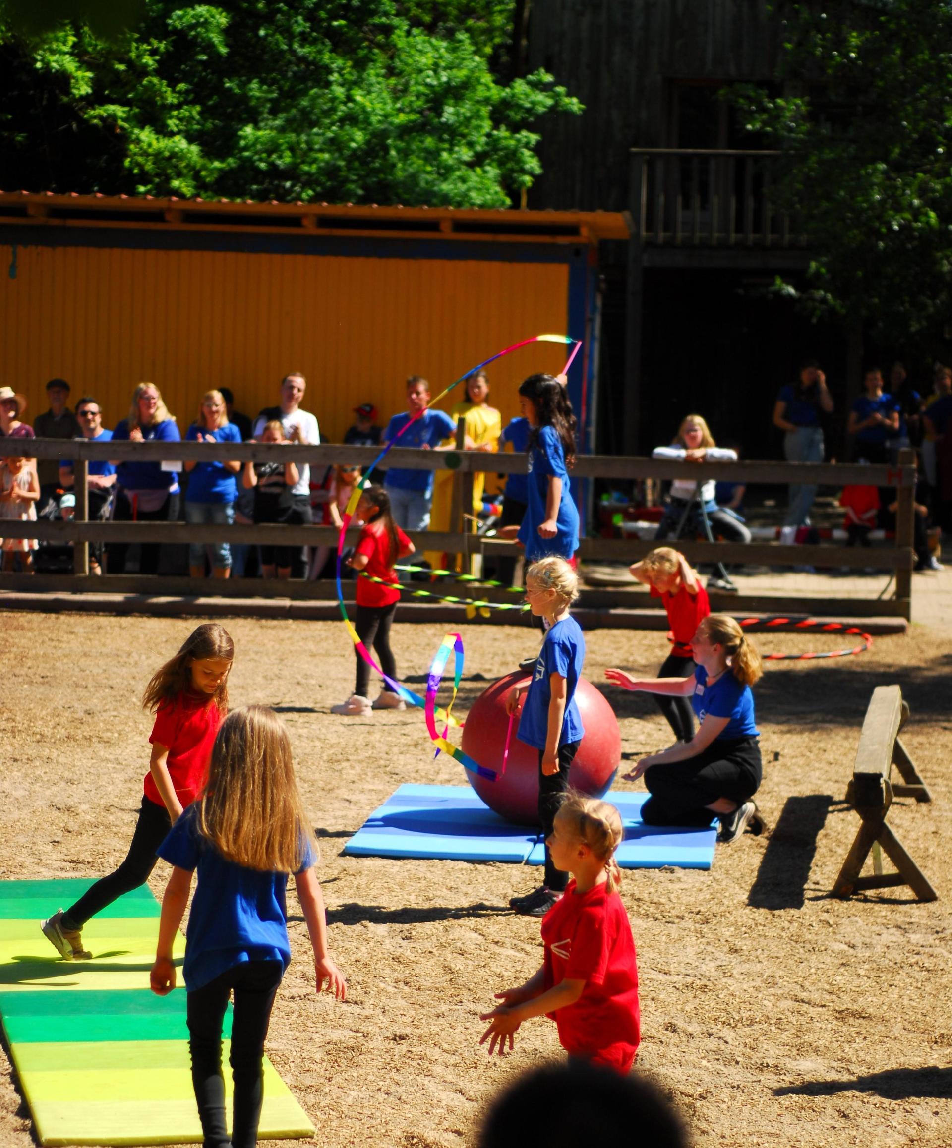Einer der Showacts: Ein Ausschnitt aus dem Zirkus Wirbelwind. (Foto: privat)