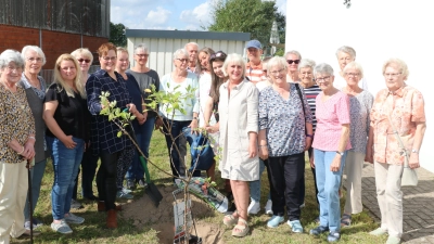 An der frischen Luft: Nach der Mitgliederversammlung hat das DRK am Freizeitheim einen Apfelbaum gepflanzt.  (Foto: gi)