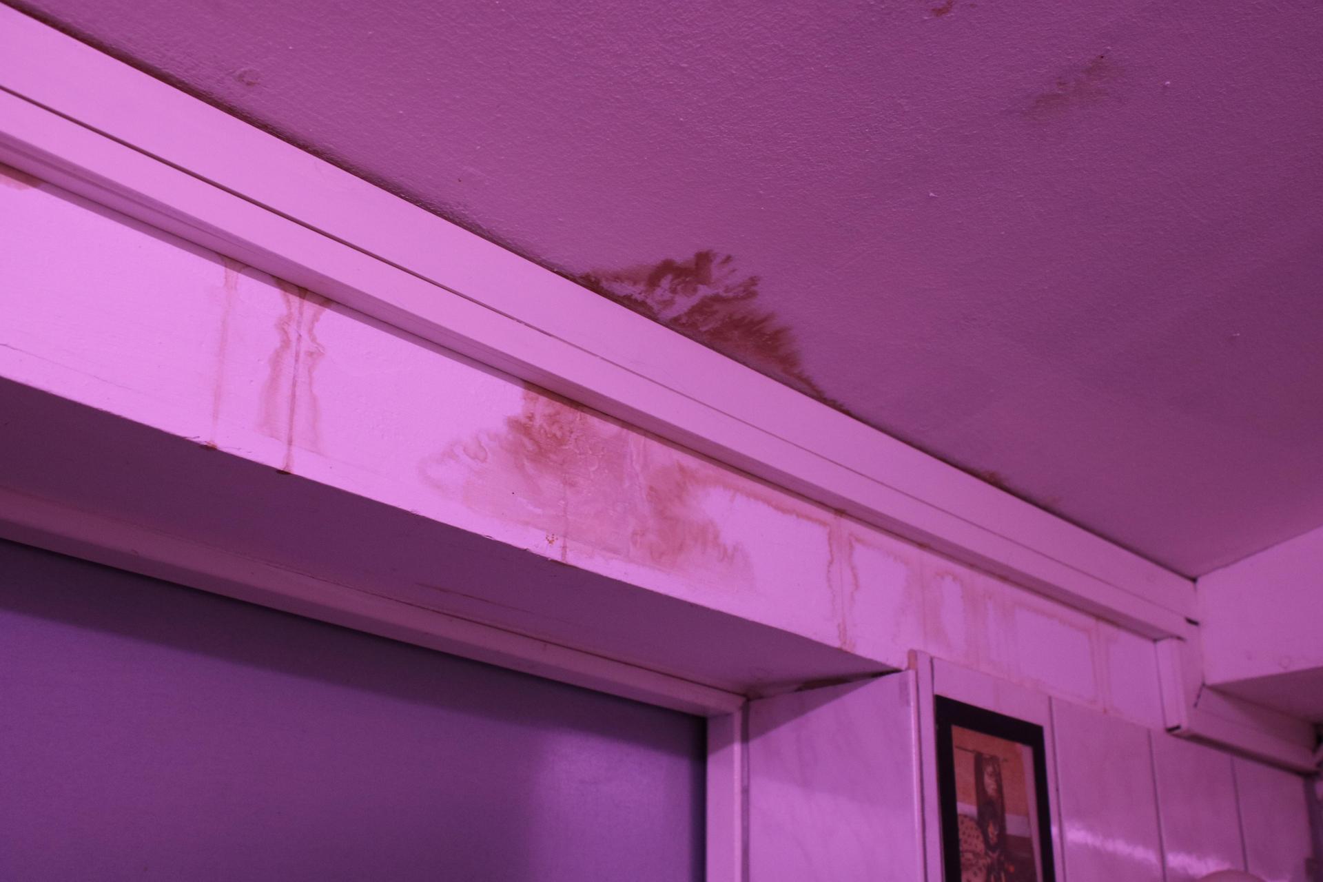 An vielen Stellen im Tierheim sieht es aus wie auf diesem Foto. Undichte Decken sorgen regelmäßig für Überschwemmungen im Zwingerbereich.  (Foto: cm)