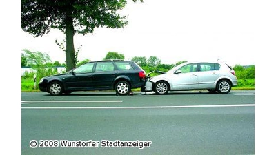 Durch Insekt abgelenkt (Foto: ih)