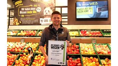 Patrick Dähre, Leiter des EDEKA-WEZ-Marktes in Stadthagen präsentiert die Nachhaltigkeitsauszeichnung. (Foto: Borchers, Bastian)