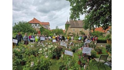Vom 23. Mai bis 25. Mai findet auf dem Rittergut Remeringhausen das „British Weekedn” statt.  (Foto: Pietsch)