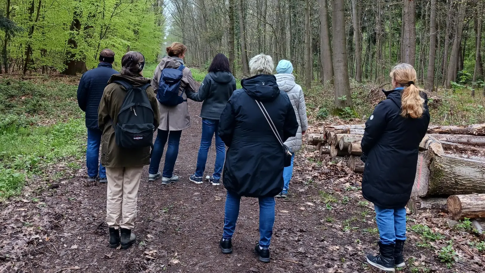 Durchs Hohe Holz: Die Teilnehmer des Spaziergangs. (Foto: privat)