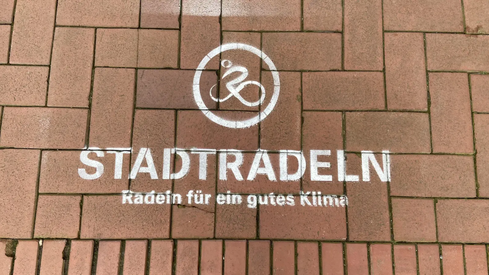 Das STADTRADELN startet wieder. Hier können Radkilometer gesammelt und gemeldet werden.  (Foto: ste)