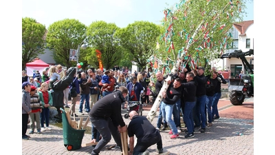 Die Cointräger hoffen wie ihre Unterstützer auf viele Besucher beim diesjährigen Maifest auf dem Amtsplatz. Das Aufstellen des Maibaumes durch die Dragons wird einer der Höhepunkte der Veranstaltung sein. <br><br> (Foto: Borchers, Bastian)