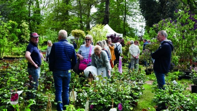 Die „Pflanzentage” auf dem Rittergut Remeringhausen werden die Besucher mit verschiedensten Ideen für den eigenen Garten inspirieren.  (Foto: privat)