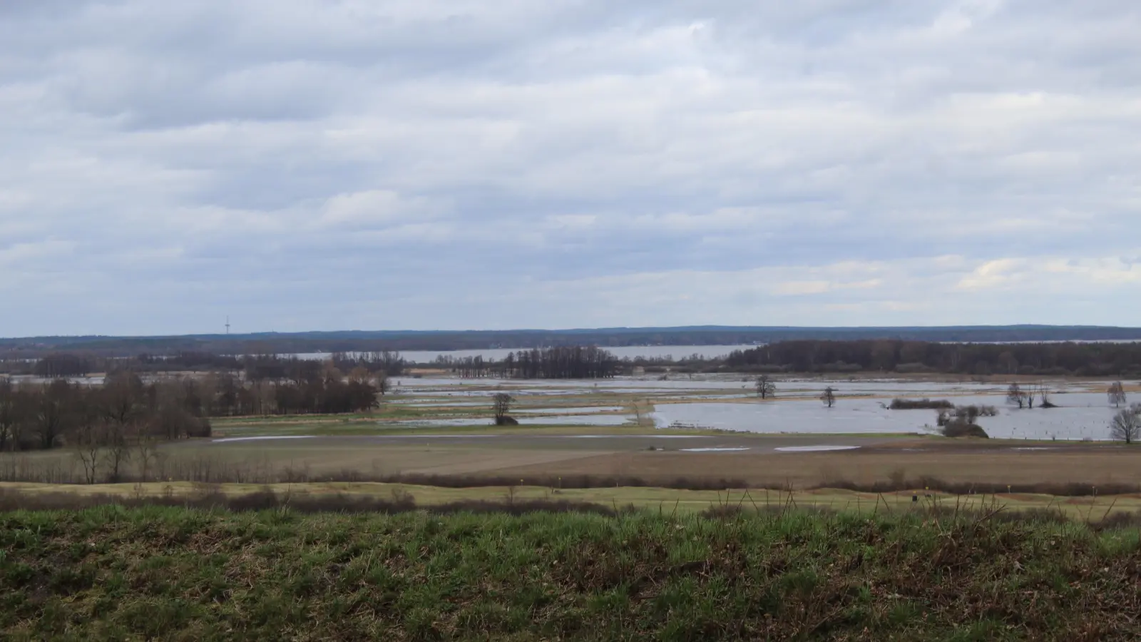 Naturpark Steinhuder Meer: Teilweise noch hohe Wasserstände. (Foto: wb)