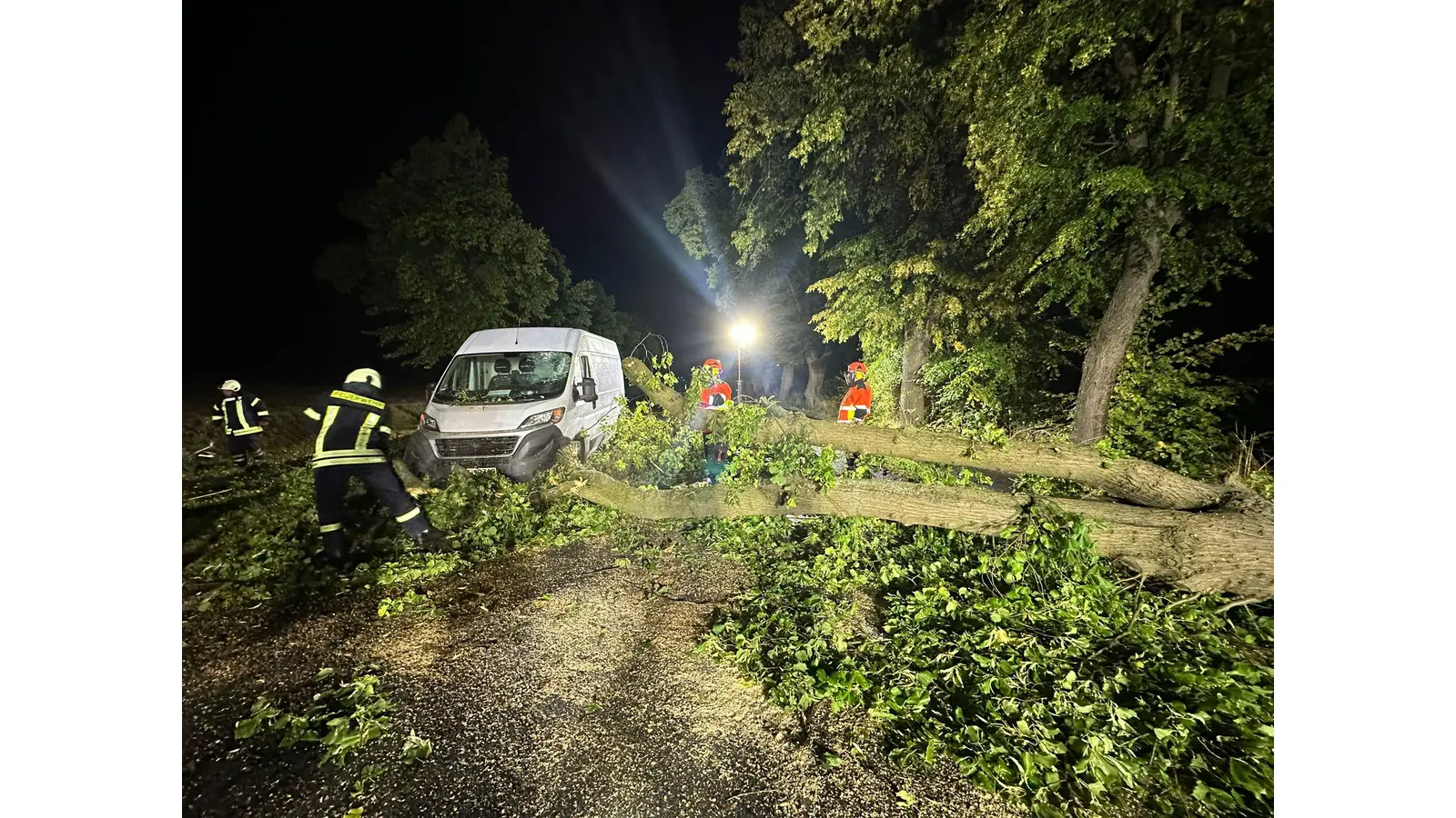 Ein Lieferfahrzeug wurde von einem umstürzenden Baum getroffen. Die Feuerwehr Bad Nenndorf war auf der B442 im Einsatz. (Foto: privat)