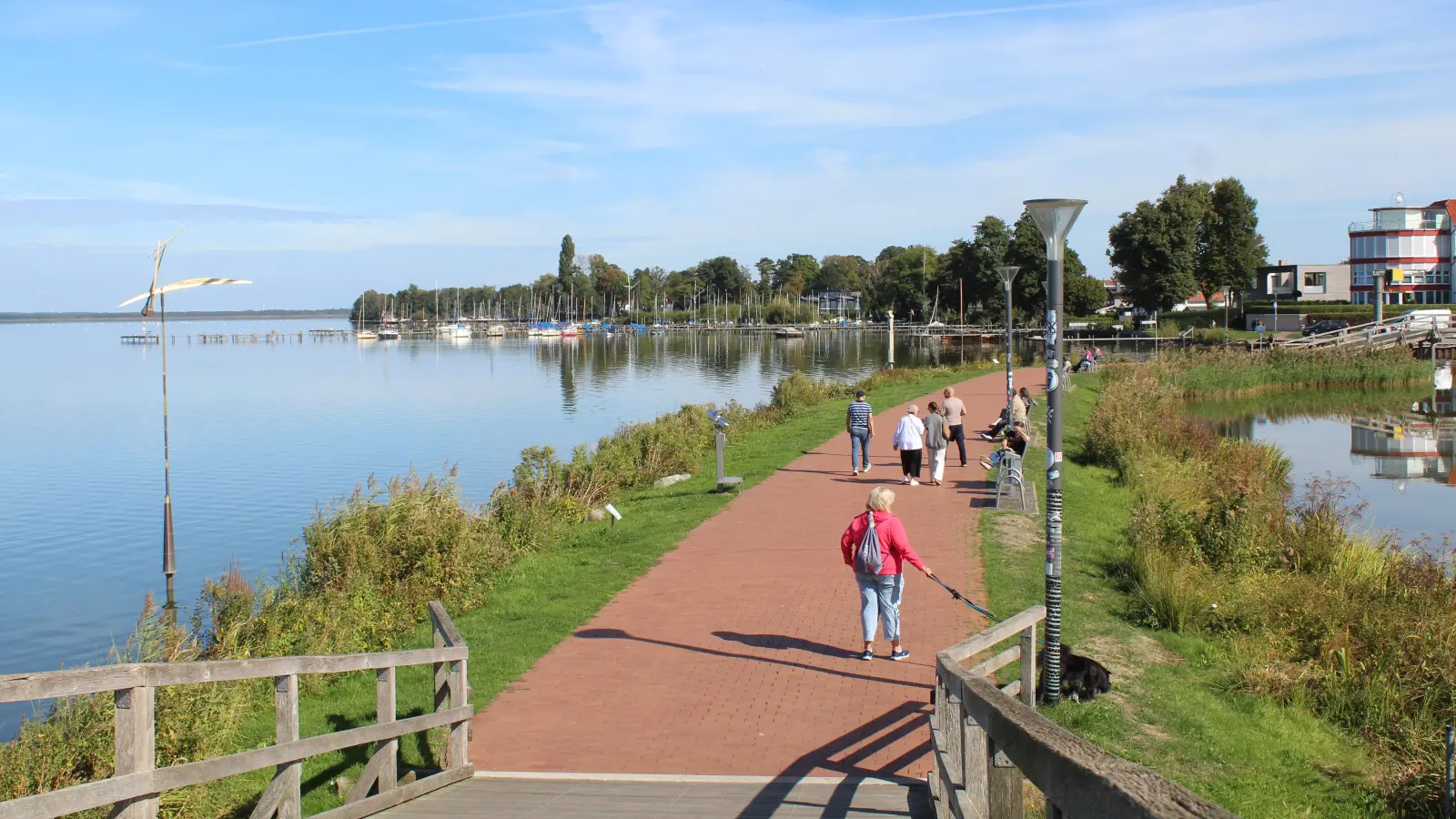 Hier soll der Fotopoint zukünftig stehen: Promenadenabschnitt zwischen Libelle und Hafen. (Foto: wb)