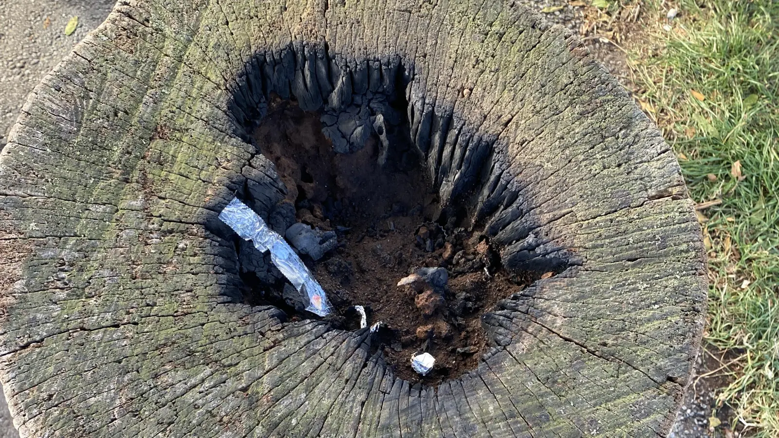 Hat gebrannt: Ein Baumstumpf im Feld zwischen Bokeloh und Wunstorf. (Foto: Feuerwehr)